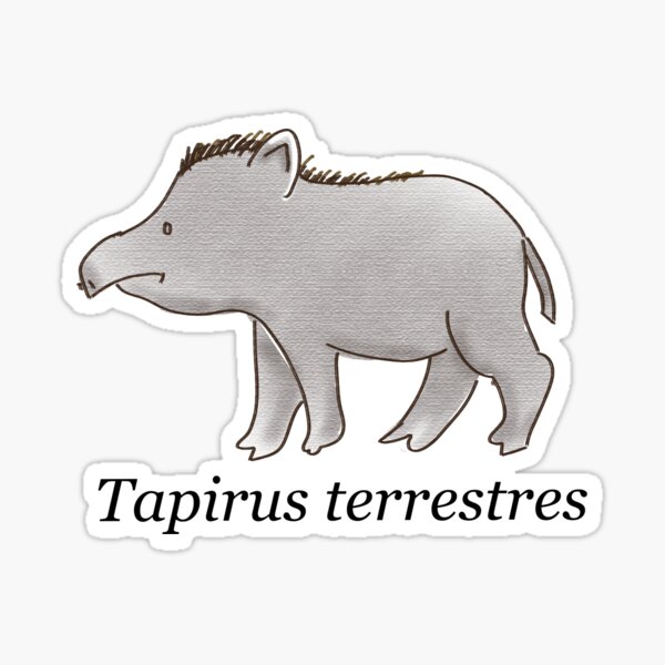 Vista previa del artículo con la obra «Tapir», diseñado y vendido por Tianguistore.