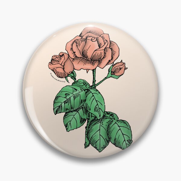 Item preview, Apricot High-Centered Rose Bloom Semi-Double 8-15 Petals In 2 Rows designed and sold by Rachael Taylor.
