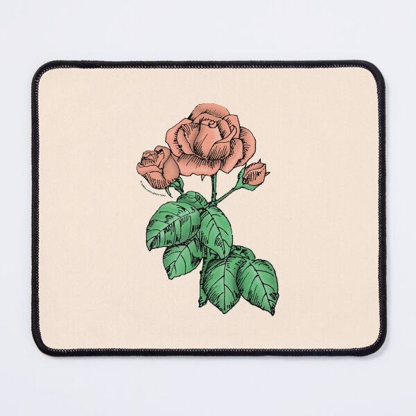 Item preview, Apricot High-Centered Rose Bloom Semi-Double 8-15 Petals In 2 Rows designed and sold by Rachael Taylor.