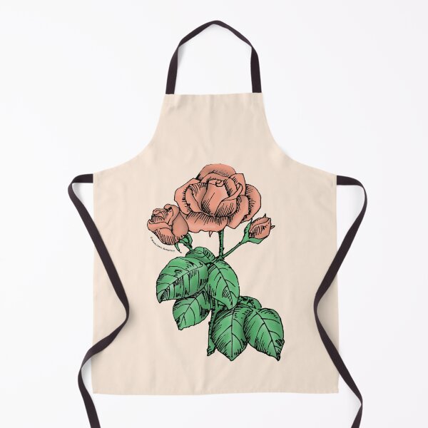 Item preview, Apricot High-Centered Rose Bloom Semi-Double 8-15 Petals In 2 Rows designed and sold by Rachael Taylor.