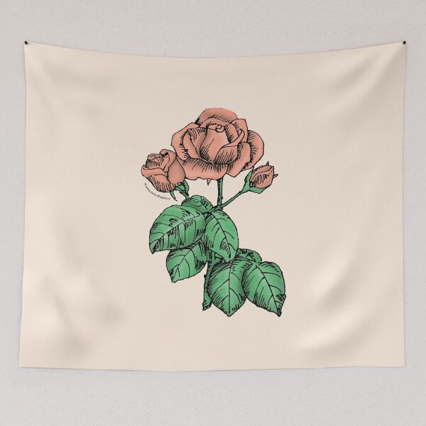 Item preview, Apricot High-Centered Rose Bloom Semi-Double 8-15 Petals In 2 Rows designed and sold by Rachael Taylor.