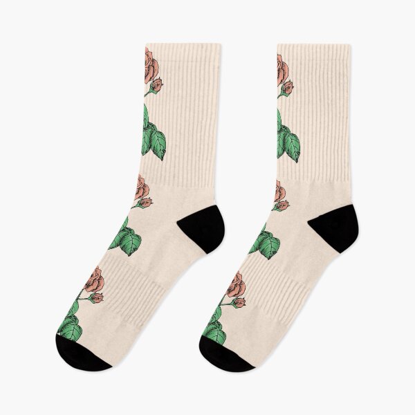 Item preview, Apricot High-Centered Rose Bloom Semi-Double 8-15 Petals In 2 Rows designed and sold by Rachael Taylor.