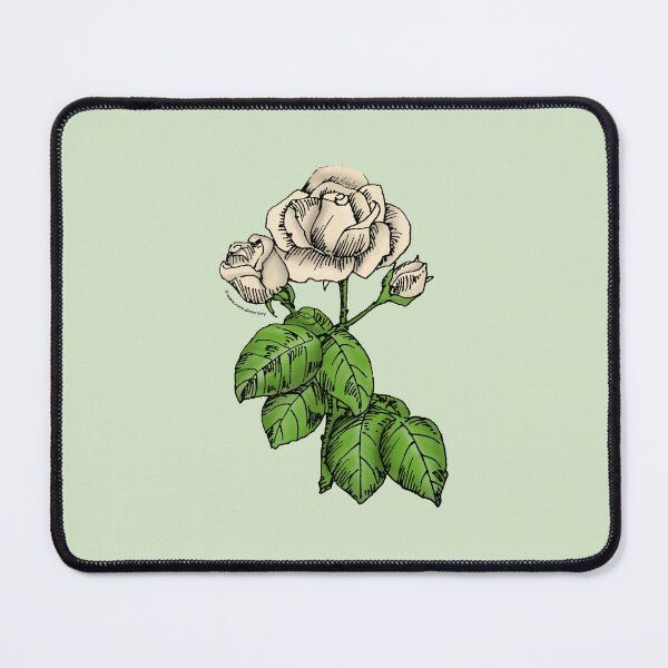 Item preview, Cream High-Centered Rose Bloom Semi-Double 8-15 Petals In 2 Rows designed and sold by Rachael Taylor.