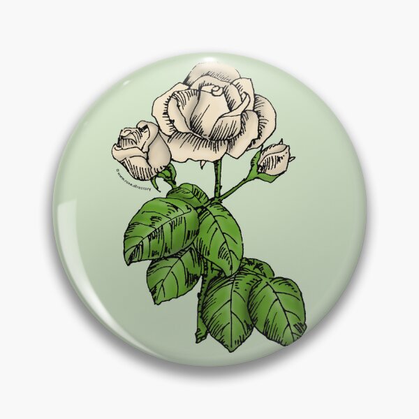 Item preview, Cream High-Centered Rose Bloom Semi-Double 8-15 Petals In 2 Rows designed and sold by Rachael Taylor.
