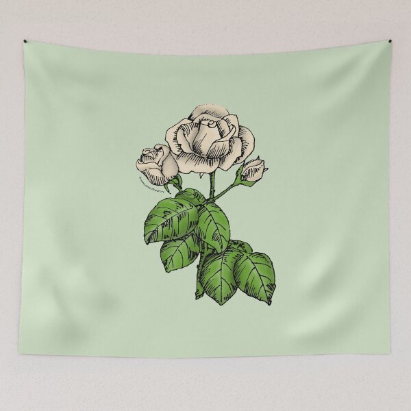 Item preview, Cream High-Centered Rose Bloom Semi-Double 8-15 Petals In 2 Rows designed and sold by Rachael Taylor.
