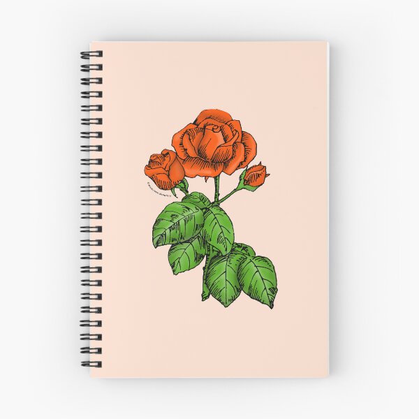 Item preview, Orange High-Centered Rose Bloom Semi-Double 8-15 Petals In 2 Rows designed and sold by Rachael Taylor.