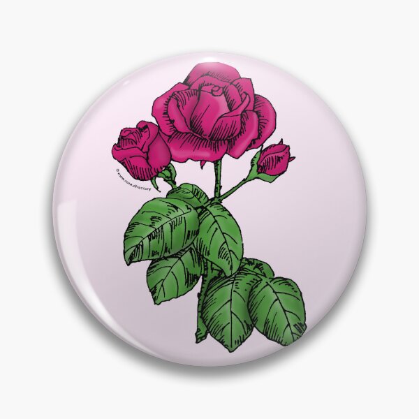 Item preview, Deep Pink High-Centered Rose Bloom Semi-Double 8-15 Petals In 2 Rows designed and sold by Rachael Taylor.