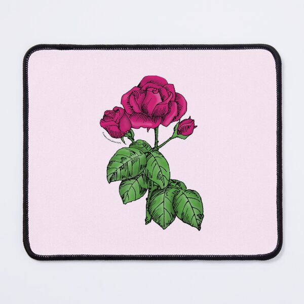 Item preview, Deep Pink High-Centered Rose Bloom Semi-Double 8-15 Petals In 2 Rows designed and sold by Rachael Taylor.