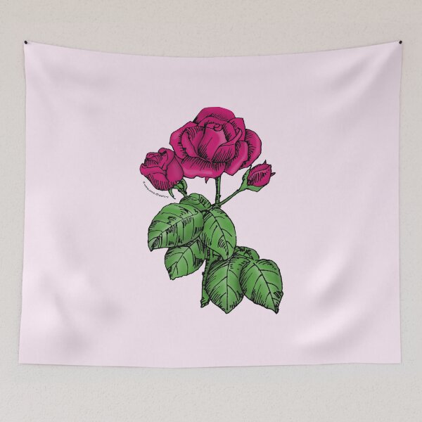 Item preview, Deep Pink High-Centered Rose Bloom Semi-Double 8-15 Petals In 2 Rows designed and sold by Rachael Taylor.