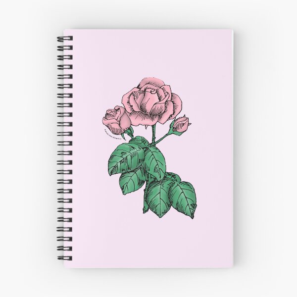 Item preview, Light Pink High-Centered Rose Bloom Semi-Double 8-15 Petals In 2 Rows designed and sold by Rachael Taylor.