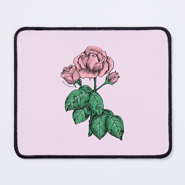 Item preview, Light Pink High-Centered Rose Bloom Semi-Double 8-15 Petals In 2 Rows designed and sold by Rachael Taylor.
