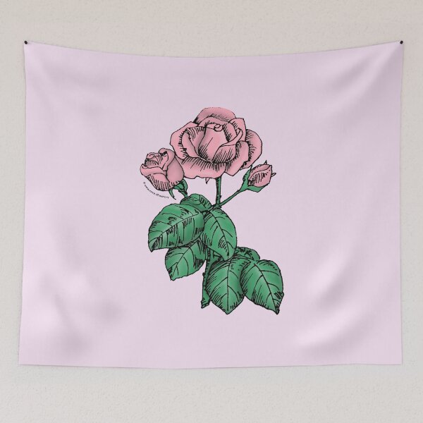 Item preview, Light Pink High-Centered Rose Bloom Semi-Double 8-15 Petals In 2 Rows designed and sold by Rachael Taylor.