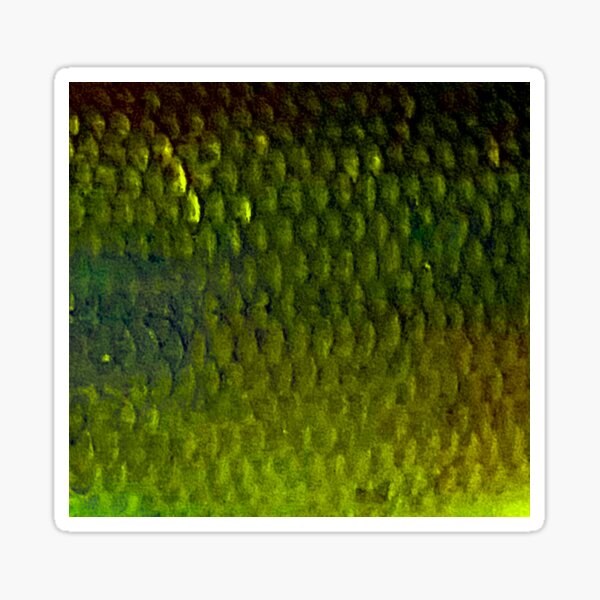 Vista previa del artículo con la obra «Escamas de cacho verde oliva», diseñado y vendido por CJRPics.