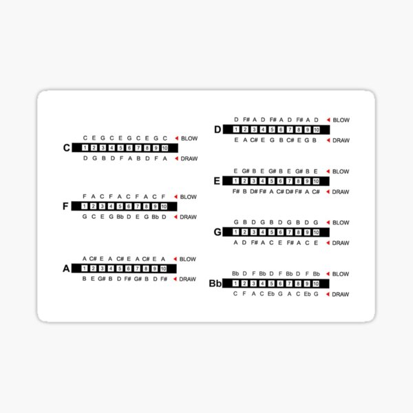 "Harmonica notes position chart" Sticker for Sale by dodgerock Redbubble