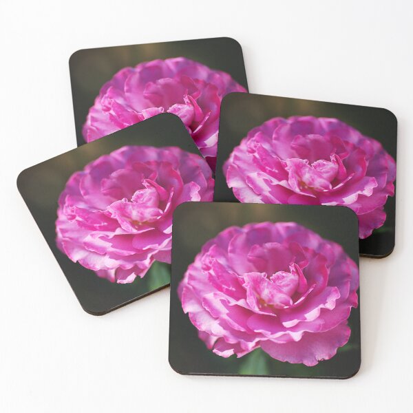 Item preview, Bright Pink Rose On Black designed and sold by Joy Watson - Natural Light Photography .
