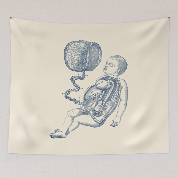Item preview, Baby and Placenta - Gut Diagram designed and sold by VAposters.