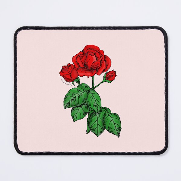 Item preview, Bright Red High-Centered Rose Bloom Semi-Double 8-15 Petals In 2 Rows designed and sold by Rachael Taylor.
