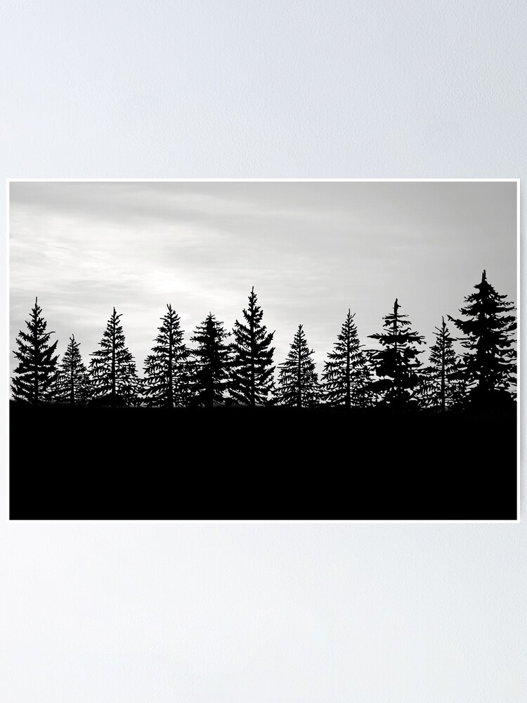 Póster «Árboles de hoja perenne al atardecer en blanco y negro» de  skenworthy | Redbubble