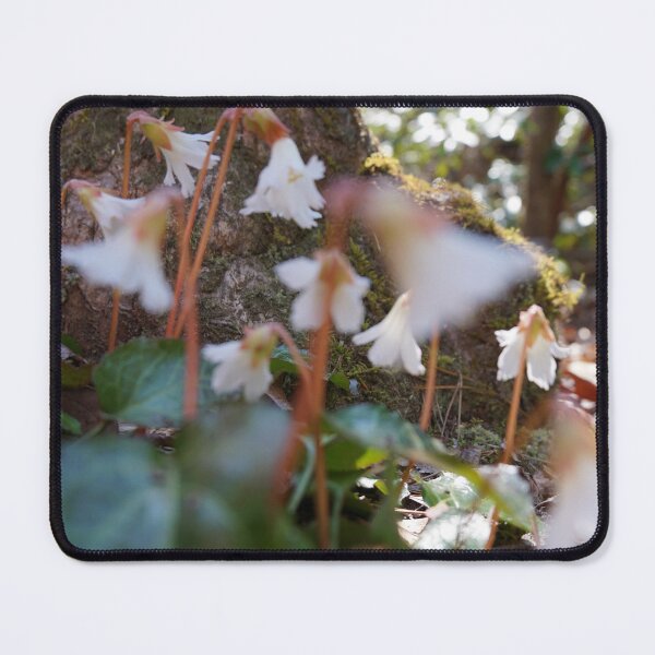 Item preview, Oconee Bells designed and sold by Mountain-Wares.