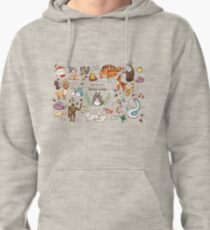 Ghibli Studios characters Pullover Hoodie