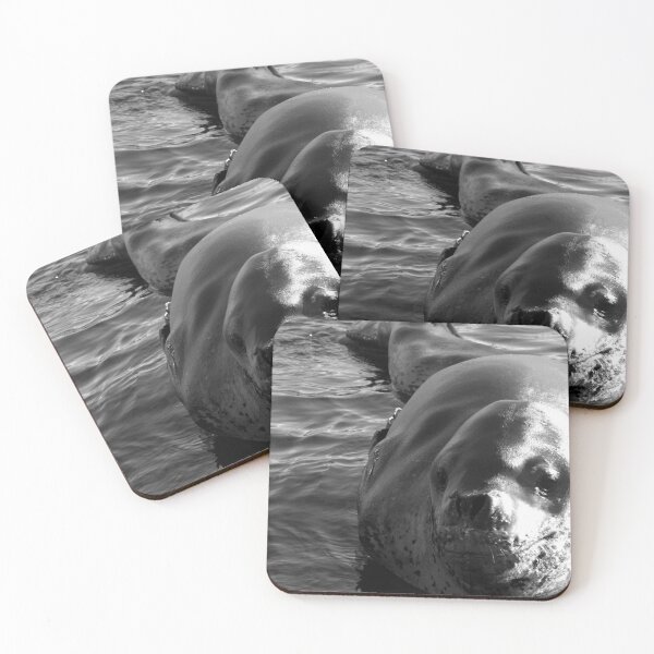 Item preview, Leopard Seal designed and sold by DanRoss.