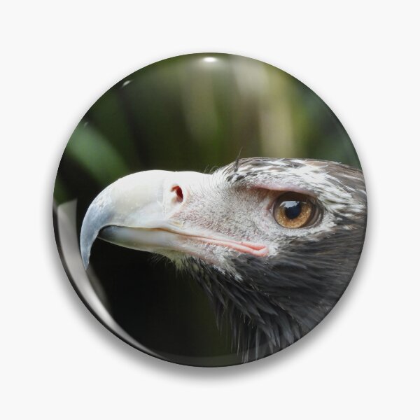 Item preview, Wedge-tail Eagle side on designed and sold by Mark Grimsley.