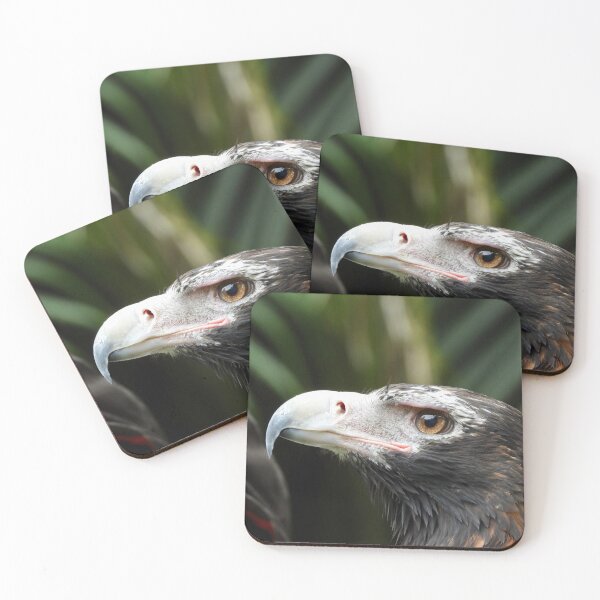 Item preview, Wedge-tail Eagle side on designed and sold by Mark Grimsley.