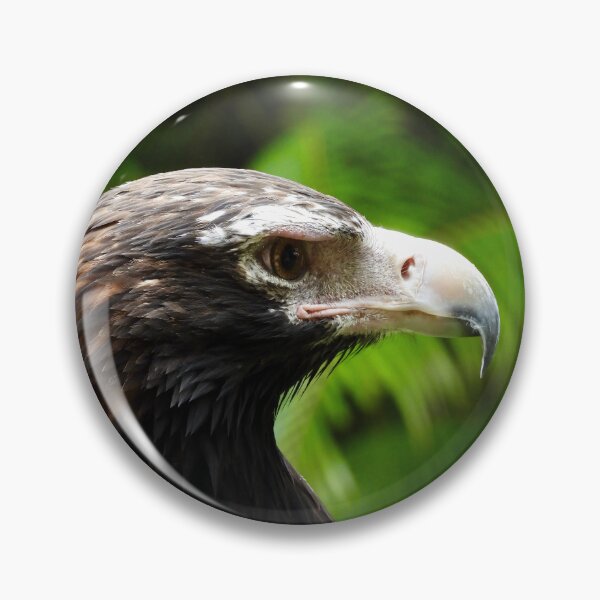 Item preview, Beautiful Wedge-tail Eagle side on designed and sold by Mark Grimsley.