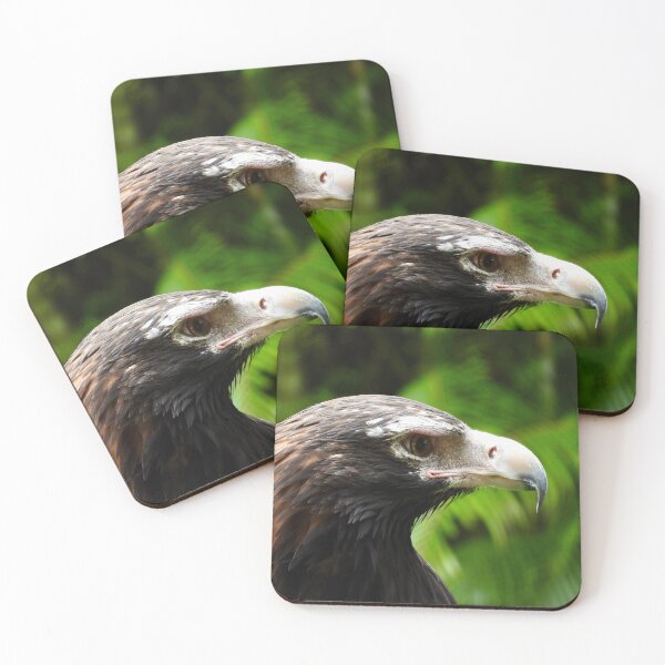Item preview, Beautiful Wedge-tail Eagle side on designed and sold by Mark Grimsley.