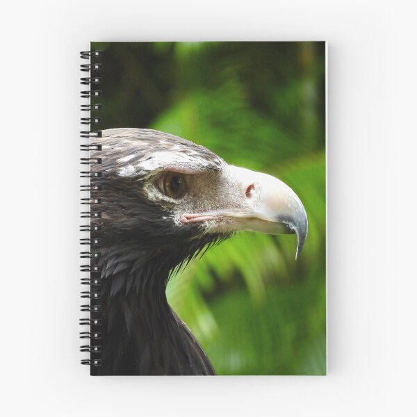 Item preview, Beautiful Wedge-tail Eagle side on designed and sold by Mark Grimsley.