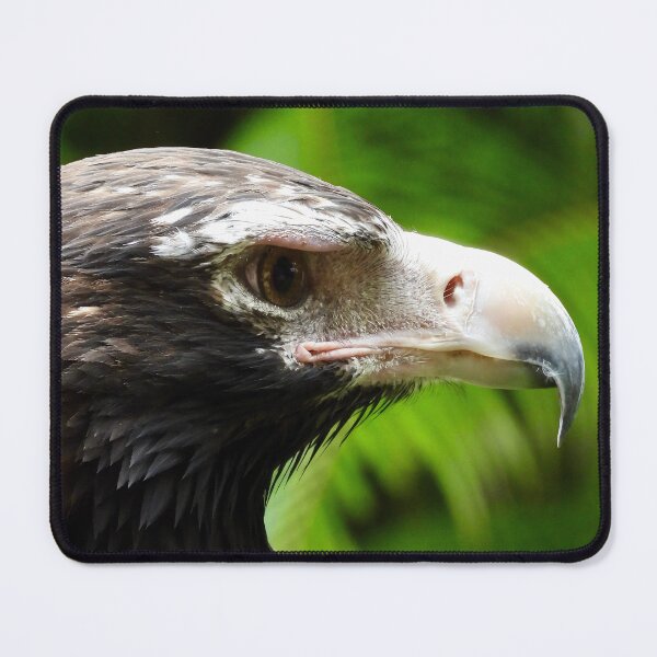 Item preview, Beautiful Wedge-tail Eagle side on designed and sold by Mark Grimsley.