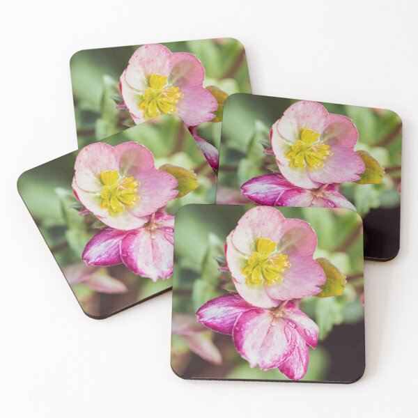 Item preview, Delicate Helleborus designed and sold by Tanya C  Smith.