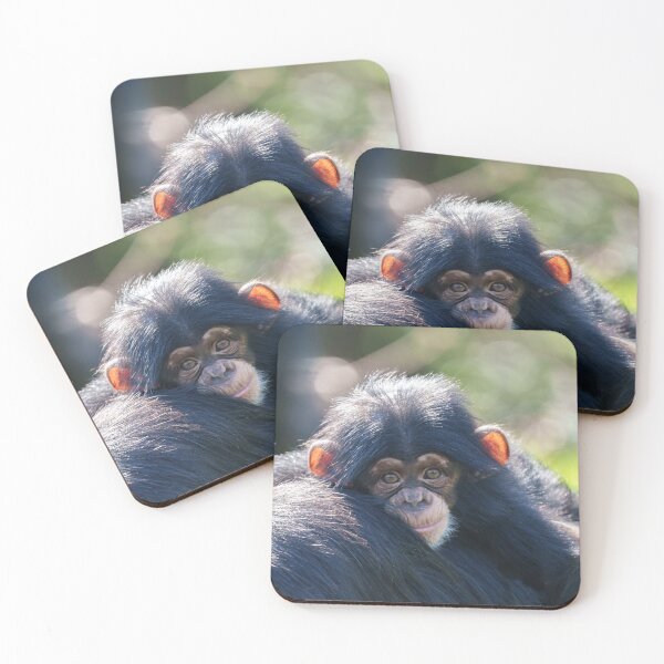 Item preview, Baby Chimpanzee's Journey designed and sold by rawshutterbug.