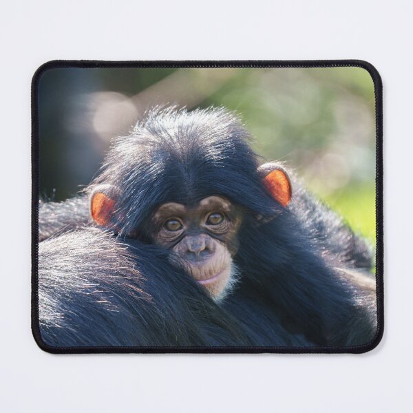 Item preview, Baby Chimpanzee's Journey designed and sold by rawshutterbug.