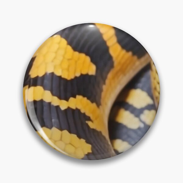 Item preview, the african python designed and sold by victoriousCraft.