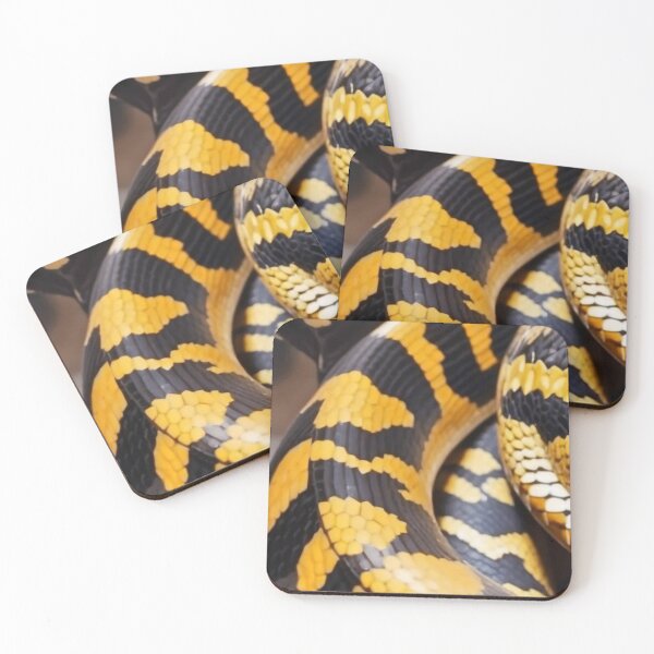 Item preview, the african python designed and sold by victoriousCraft.