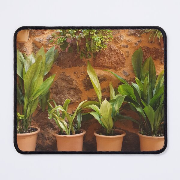 Item preview, Plants in Mallorca designed and sold by Zeewind.