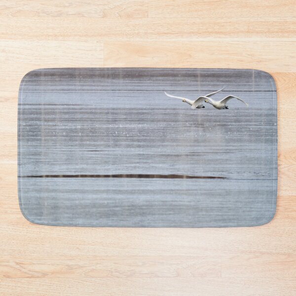 Item preview, Over the thin ice. Whooper swan designed and sold by Jouko Lehto Photography.