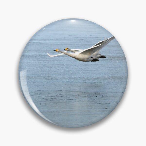 Item preview, On the blue. Whooper swan designed and sold by Jouko Lehto Photography.