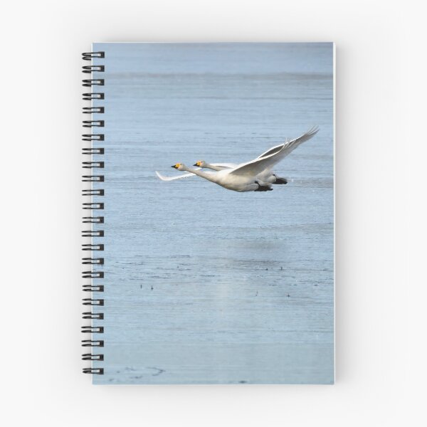Item preview, On the blue. Whooper swan designed and sold by Jouko Lehto Photography.
