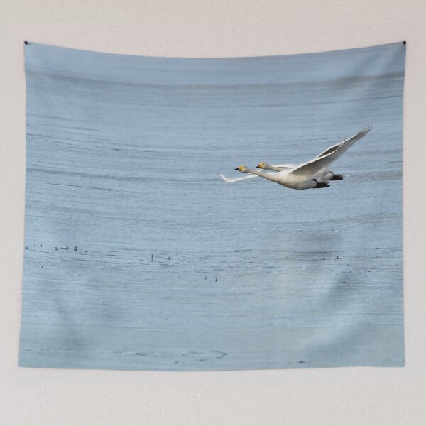 Item preview, On the blue. Whooper swan designed and sold by Jouko Lehto Photography.