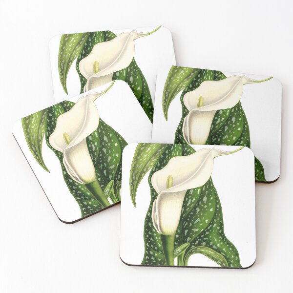 Item preview, Calla Lily designed and sold by Reethes.