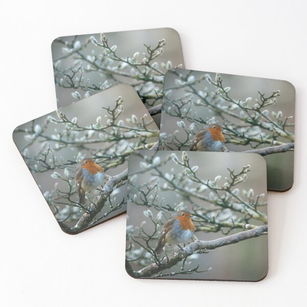 Item preview, Robin perching in a magnolia tree in Winter designed and sold by AndrewJonesFoto.