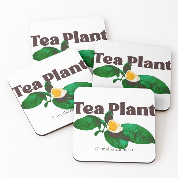 Item preview, Tea Plant Vintage illustration designed and sold by MidniteTraffic.