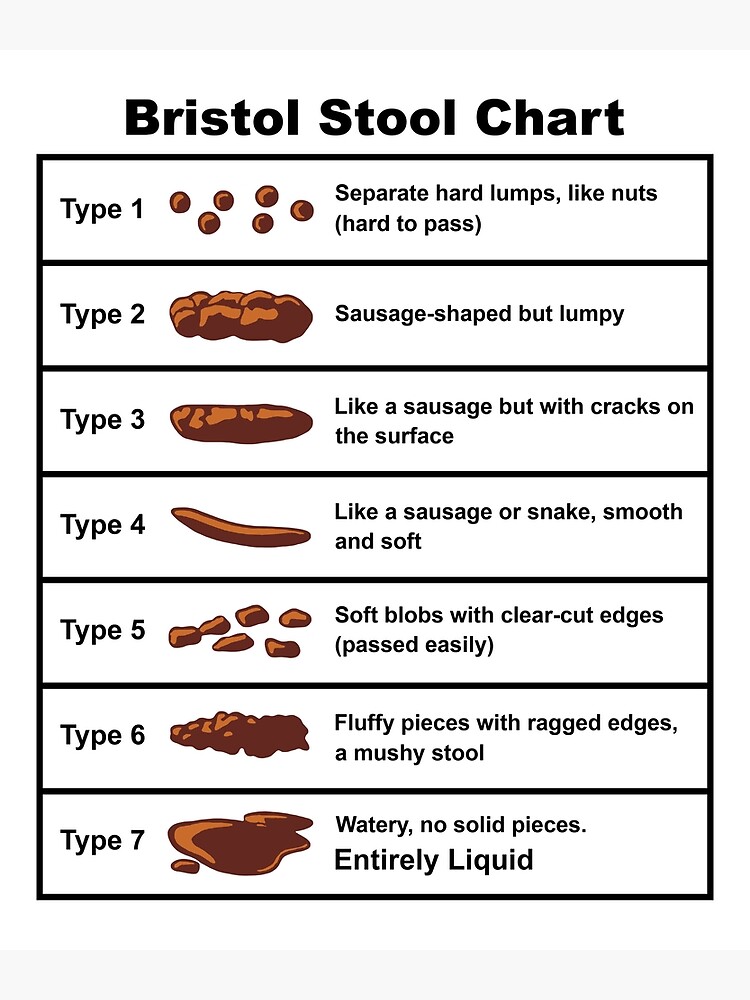 Bristol Stool Chart Poster