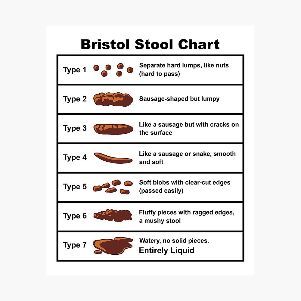 Bristol Stool Chart Poster