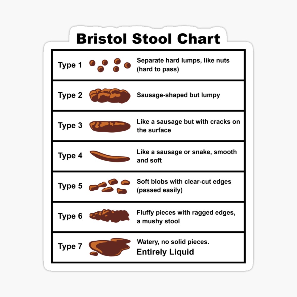 Bristol Stool Chart Poster