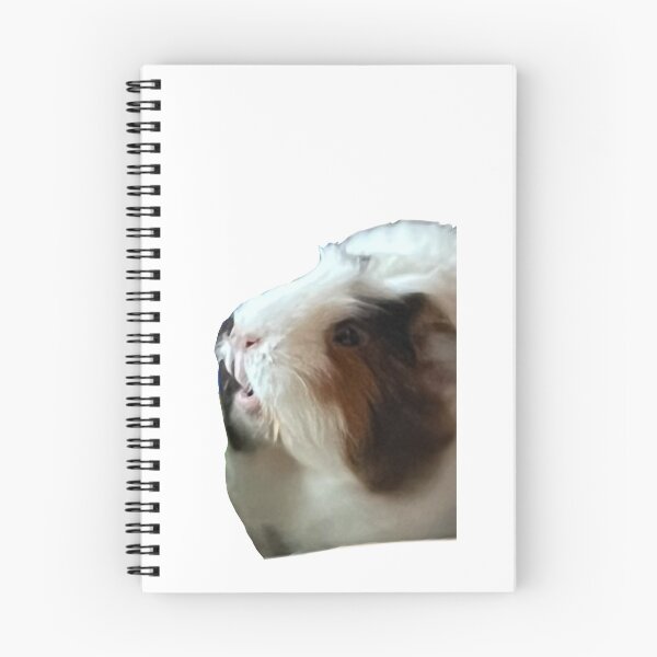 Item preview, Befuddled Guinea Pig designed and sold by Seiten-TAISEI.