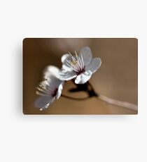 Fantasy Metal Print
