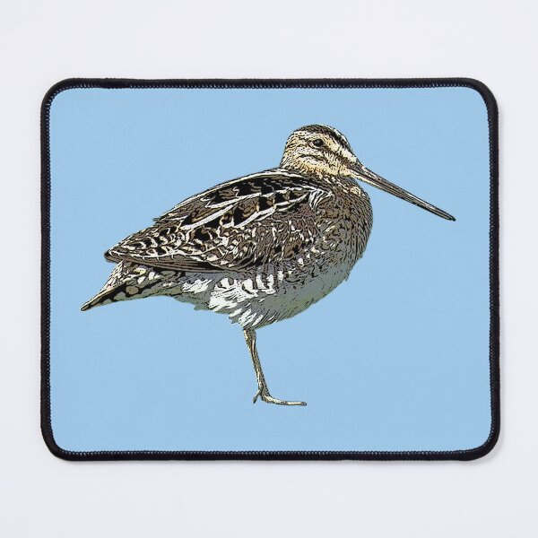 Item preview, Common Snipe Color Design designed and sold by designsasstultd.